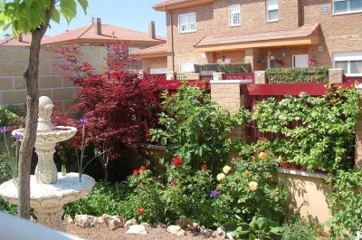 [Foto de planta, jardin, jardineria]